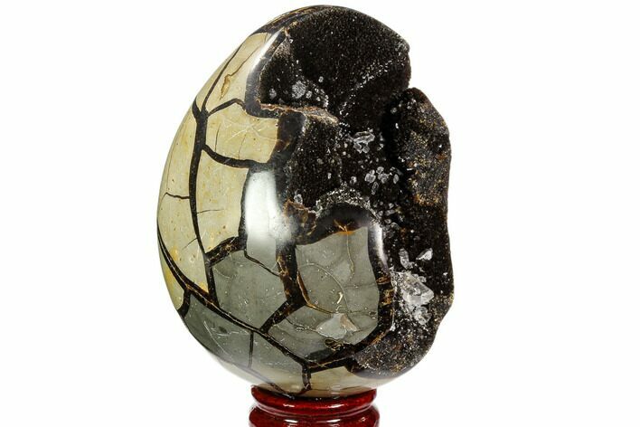 Septarian Dragon Egg Geode - Black Crystals #98899